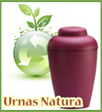 Urnas Biodegradables